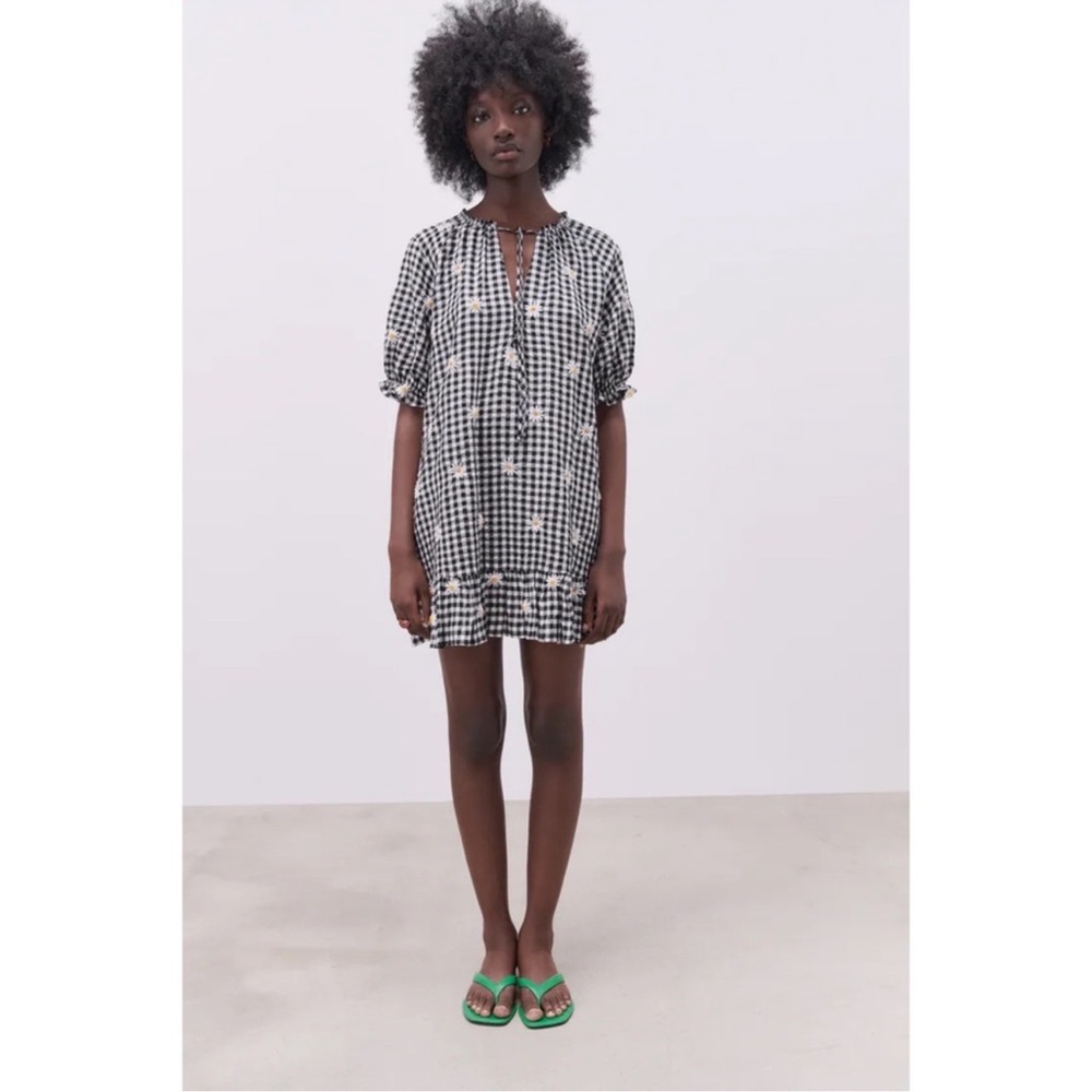Zara Gingham Flower Embroidered Dress